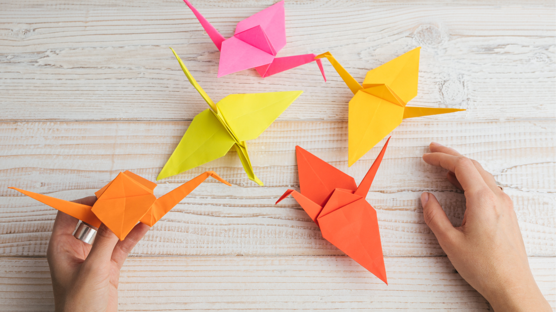 Five pieces of origami with a woman holding one of them.
